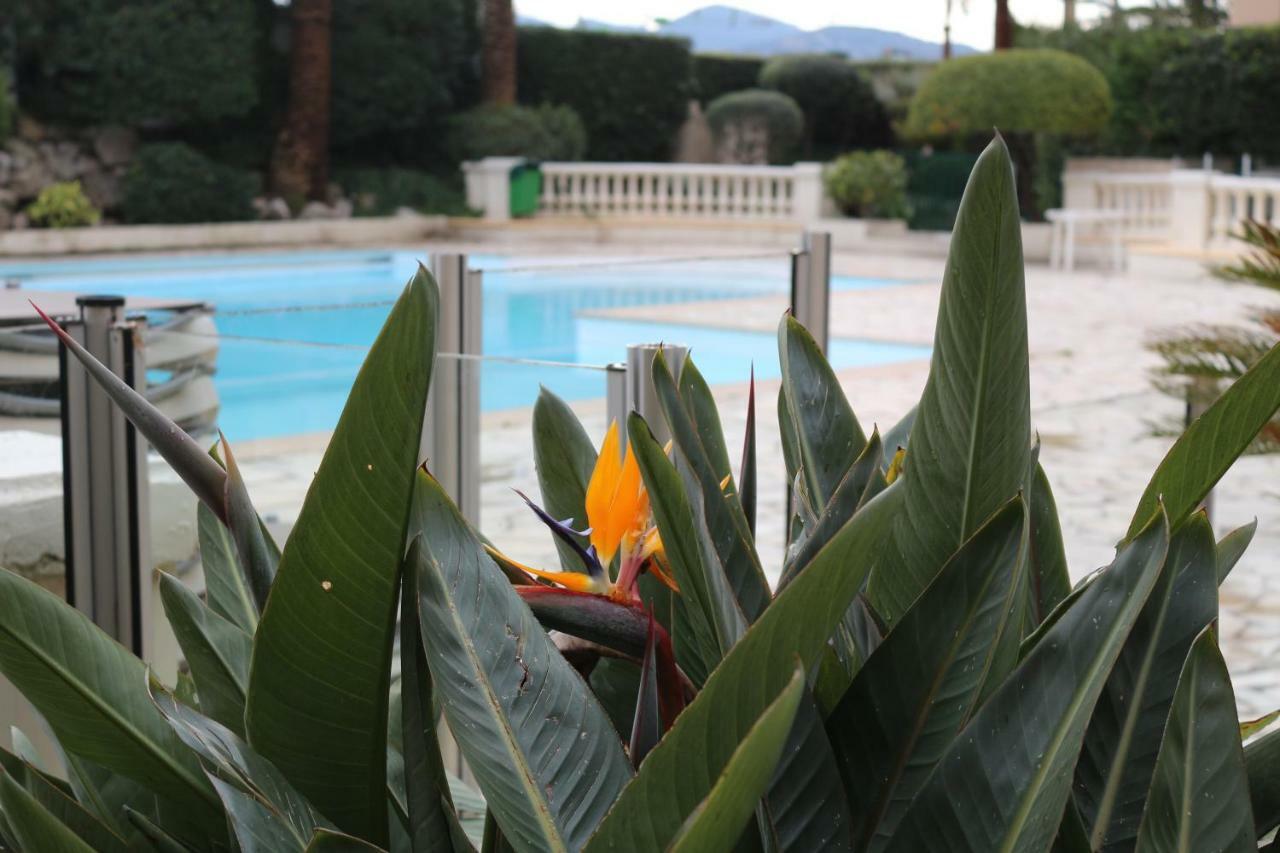 Appartement Palm d'Azur Cannes Exterior foto